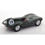 JAGUAR D-TYPE NEZ LONG 19 HAWTHORN/WALTERS 12H DE SEBRING 1955 1ER