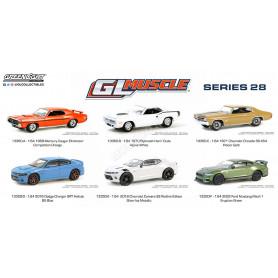 COFFRET DE 6 PIECES : GL MUSCLE - SERIES 28 (EPUISE)