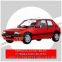 PEUGEOT 205 1.9 GTI ROUGE (VERSION ASSEMBLEE AVEC BOITAGE NEUTRE)