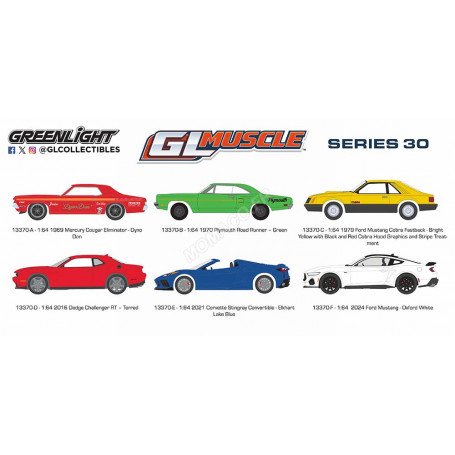 COFFRET DE 6 PIECES : GL MUSCLE - SERIES 30