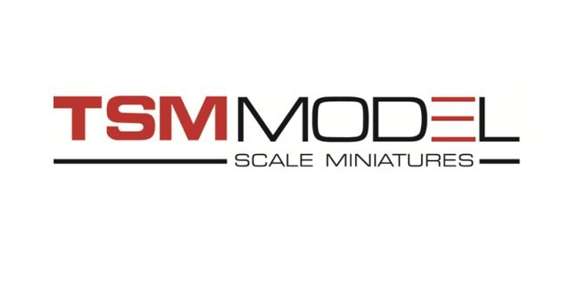 TSM MODEL